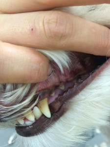 IMG_3672.jpg