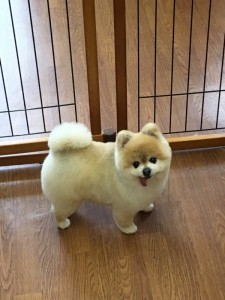 IMG_2286.jpg